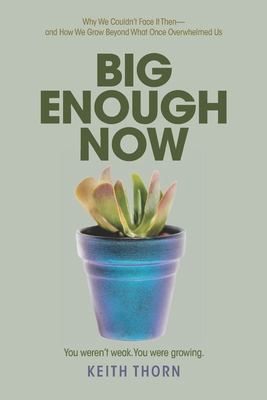 Big Enough Now: Why We Couldn't Face It Then-an... B0GFKF3V1Q Book Cover