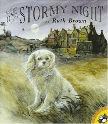 One Stormy Night 014056229X Book Cover