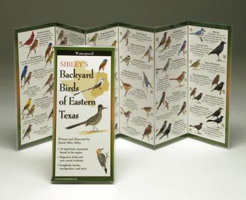 Sibley's Backyard Birds of Eastern Texas 1935380125 Book Cover