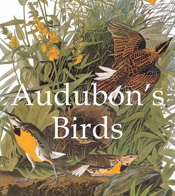 Audubon's Birds 1844845982 Book Cover