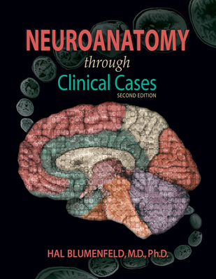Neuroanatomy Through Clinical Cases 0878936130 Book Cover