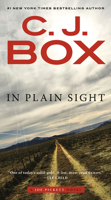 In Plain Sight 0399575731 Book Cover