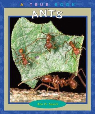 Ants (True Books) 0516293591 Book Cover