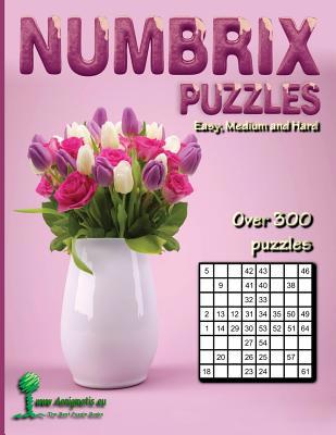 Numbrix Puzzles: Easy, Medium and Hard 1078111294 Book Cover