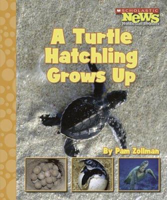 A Turtle Hatchling Grows Up 0516249487 Book Cover