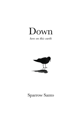 Down: Here on This Earth 0578775778 Book Cover