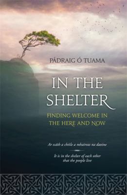 In The Shelter EXPORT 147360611X Book Cover