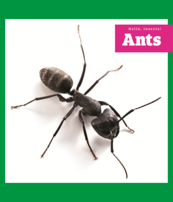 Ants B0GN64YFNM Book Cover