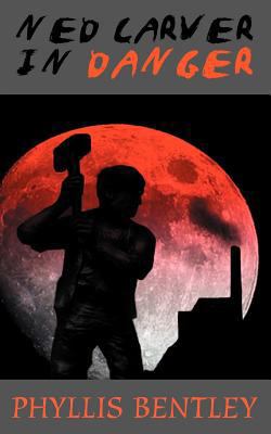 Ned Carver in Danger 0955620422 Book Cover