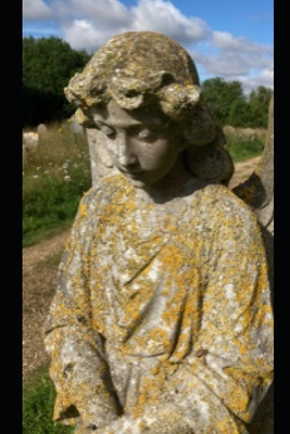 The Meadow's Secret B0CJLLN9DG Book Cover