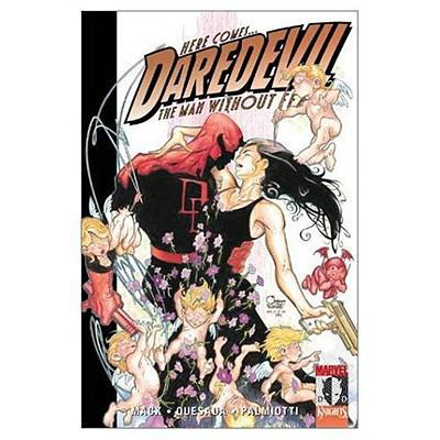 Daredevil Volume 2: Parts of a Hole Tpb 0785108084 Book Cover