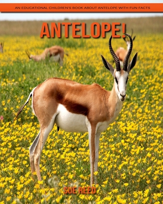 Paperback Antelope! An Educational Children's Book about Antelope with Fun Facts [Large Print] Book