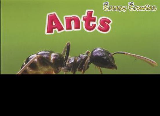 Ants 140624130X Book Cover