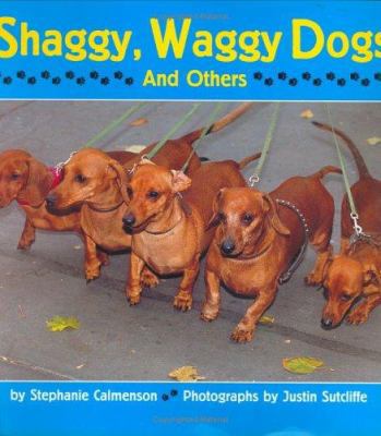 Shaggy, Waggy Dogs (and Others) 0395776058 Book Cover