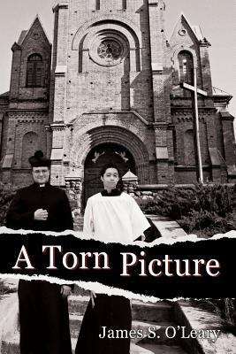 A Torn Picture 1600478530 Book Cover