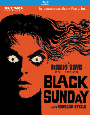 Black Sunday            Book Cover