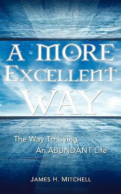 A More Excellent Way 1609577906 Book Cover