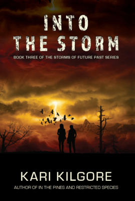 Into the Storm 1948890186 Book Cover