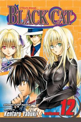 Black Cat, Vol. 12 1421514702 Book Cover
