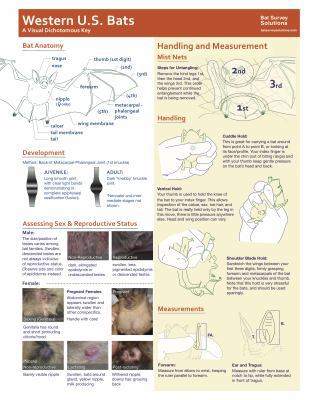 Western U.S. Bats: A Visual Dichotomous Key 057843640X Book Cover