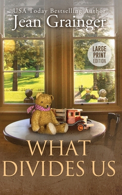 What Divides Us: The Kilteegan Bridge Story - B... [Large Print] 1914958969 Book Cover