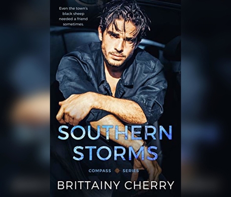 Southern Storms 1662035756 Book Cover