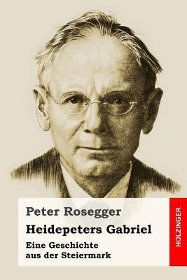 Heidepeters Gabriel: Eine Geschichte aus der St... [German] 1533226121 Book Cover