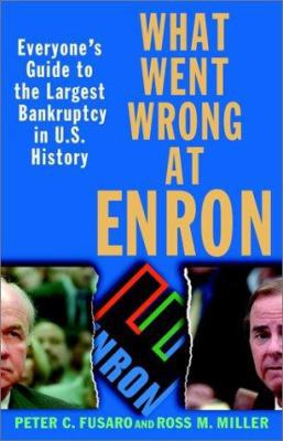 What Went Wrong at Enron : Everyone's Guide to the Largest Bankruptcy in U. S. History