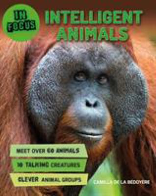 In Focus: Intelligent Animals 0753473887 Book Cover