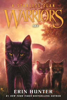 Sky B0GMZMY7P1 Book Cover