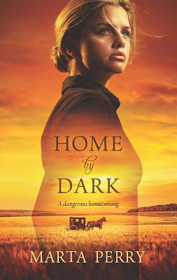 Home by Dark 0373777353 Book Cover