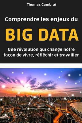 Paperback Comprendre les enjeux du Big data: Une r?volution qui change notre fa?on de vivre, r?fl?chir et travailler [French] Book