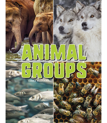 Animal Groups 1683424433 Book Cover