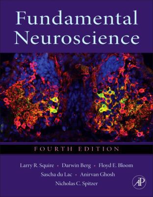 Fundamental Neuroscience 0123858704 Book Cover