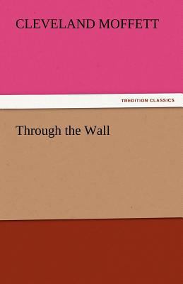 Through the Wall 3842448953 Book Cover