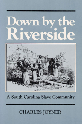 Down by the Riverside: A South Carolina Slave C... B0038APQ7Q Book Cover