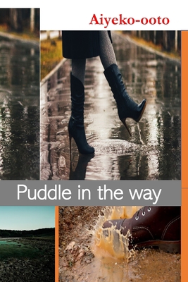 Puddle in The Way: Fictional Novel 171655070X Book Cover