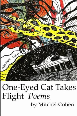 One-Eyed Cat Takes Flight B001KSR414 Book Cover