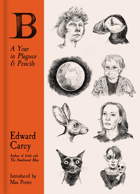 B: A Year in Plagues and Pencils 1913547205 Book Cover