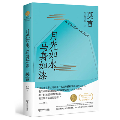 A Black Horse Under the Flowing Moonlight [Chinese] 7533962990 Book Cover