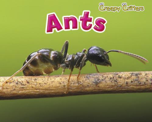 Ants 1410948145 Book Cover