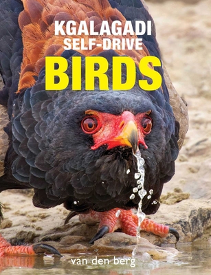Kgalagadi Self-Drive Birds 1776433262 Book Cover