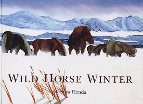 Wild Horse Winter 0613886046 Book Cover