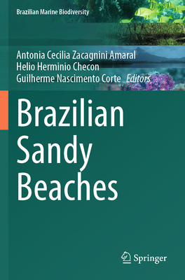 Brazilian Sandy Beaches 3031307488 Book Cover