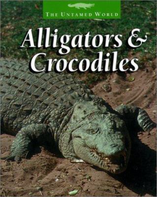 Alligators & Crocodiles 0613164555 Book Cover