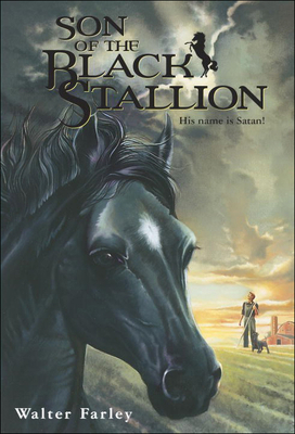 Son of the Black Stallion 0808542095 Book Cover