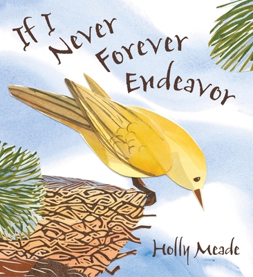 If I Never Forever Endeavor 0763640719 Book Cover