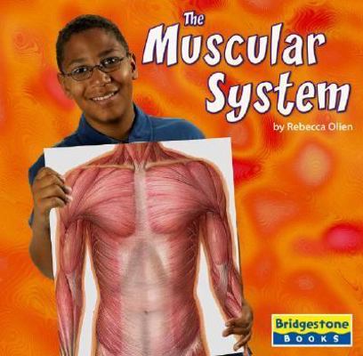 The Muscular System (Human Body Systems) 0736854118 Book Cover