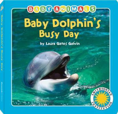 Baby Dolphins Busy Day 1607273012 Book Cover