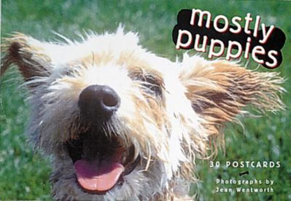 Mostly Puppys/Postcards 155859924X Book Cover